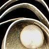 In search of... ? (8)