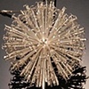 Echinops/Globe Thistle Key