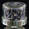 Herbarium Specimen Ring: Lavandula angustifolia