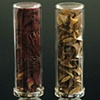 Herbarium Specimen Rings: Rosa eglanteria