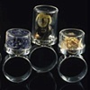 Herbarium Specimen Rings