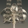 Phalaenopsis Orchid Key
