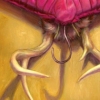 Antlers