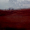 redside