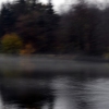pondmist