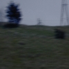hilltop