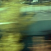 carrush