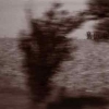 MOVING PICTURES