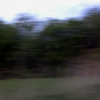 greensweep