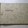 Bubbly Creek