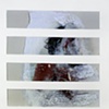 detail from "Adaptations"