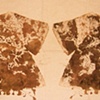 Double Floor Cloth
