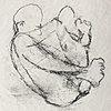 Untitled 2003 February
