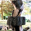 Stacked Tree Parts (west)