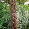 Reed model for water chimes.