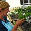 Debbie shows us her enviable bonsai collection.