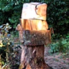 Stacked Tree Parts (east)