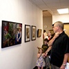 Spring Show visitors viewing my picture, "Untitled (Mom and Dad)"