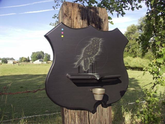 non-shitting songbird by michael paulus