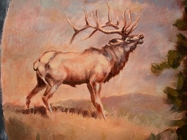 buck detail 2 by michael paulus