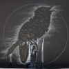 Non-Shitting Songbird (detail)