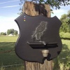 Non-Shitting Songbird (on site)