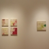 Installation view of Cornell show