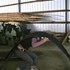 Six
(video still)