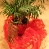 Offering
2010