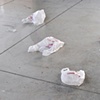 The Garden, Installation View