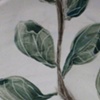plate detail