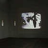 Light Blight (installation view)
