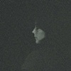 B&ugrave;X&iacute;ng