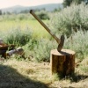 Chopped Wood