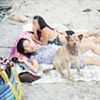 Dog, Little Dume