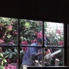 Gardener 38, La Cumbre Drive