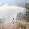 Jacob and Rainbow