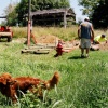 Men Working