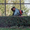 Corporate Landscapers, Santa Monica Business Park