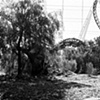 X2 Rollercoaster, Six Flags Magic Mountain