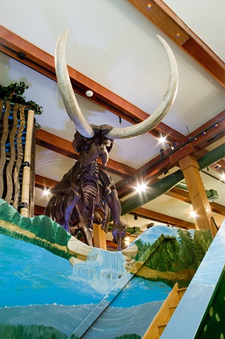 Hyde Park Mastodon View 1