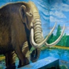 Hyde Park Mastodon Mural View 2