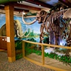 Hyde Park Mastodon
