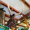 Hyde Park Mastodon View 1