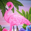 Flamingos