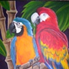 Parrots