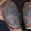 bear and salmon koi