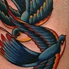 intertwined sparrows
