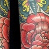 roses and butterflies