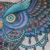owl with lantern